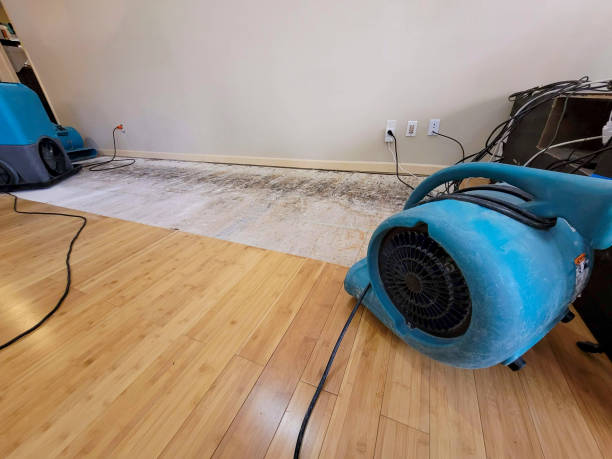 Professional Flood Damage Cleanup technician working in Ettrick, VA